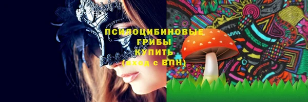 ALPHA-PVP Карталы