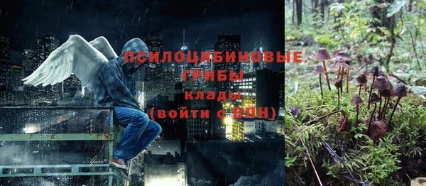дурь Касимов