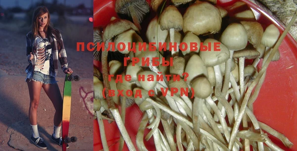 дурь Касимов