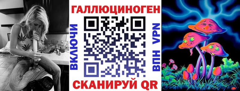Галлюциногенные грибы Psilocybe  Купить где  Бугуруслан 