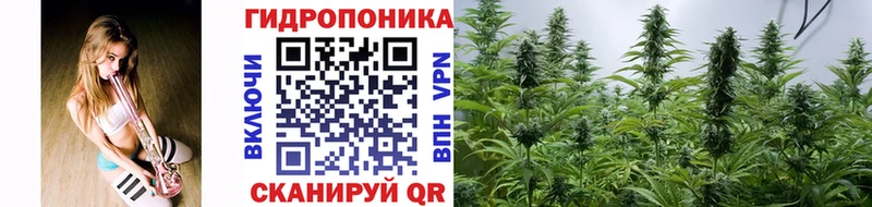 Конопля сатива  Купить  Бугуруслан 